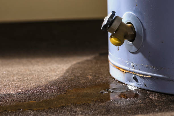 Best Fire Damage Restoration  in Howell, MI