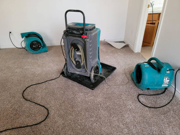 Best Water damage contractors near me  in Howell, MI