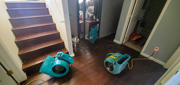 Best Sewage cleanup and water damage restoration  in Howell, MI
