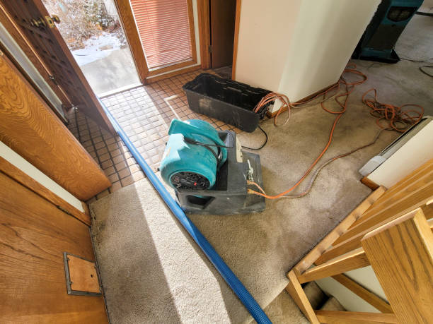 Best Carpet water damage restoration  in Howell, MI