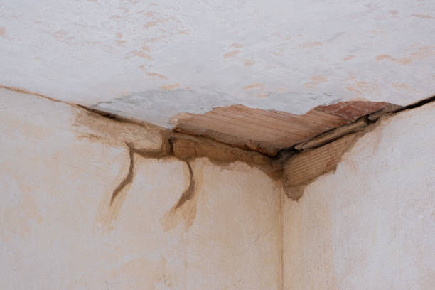 Best Water damage restoration near me  in Howell, MI