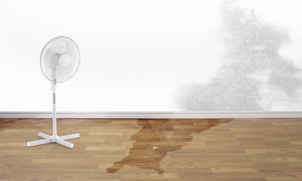 Best Ceiling water damage repair  in Howell, MI