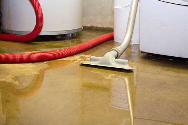 Best Flood damage cleanup  in Howell, MI